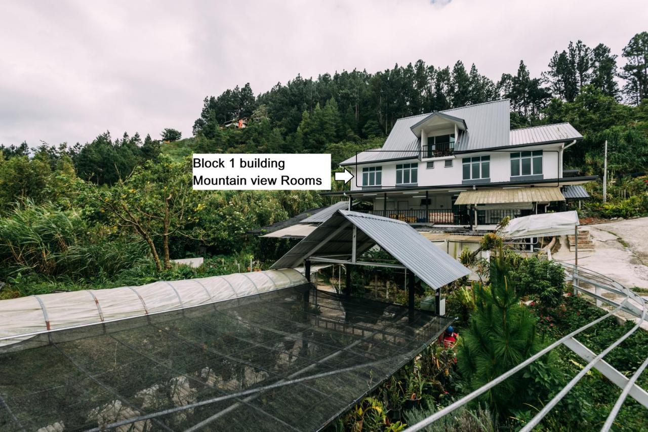 Amazing Grace Lodge Kampong Kundassan Zewnętrze zdjęcie